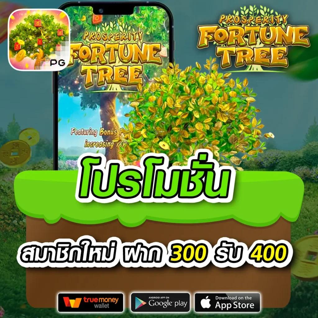 คาสิโนออนไลน์ เวปหมี: เกมคาสิโนใหม่ล่าสุดและสนุกสนาน